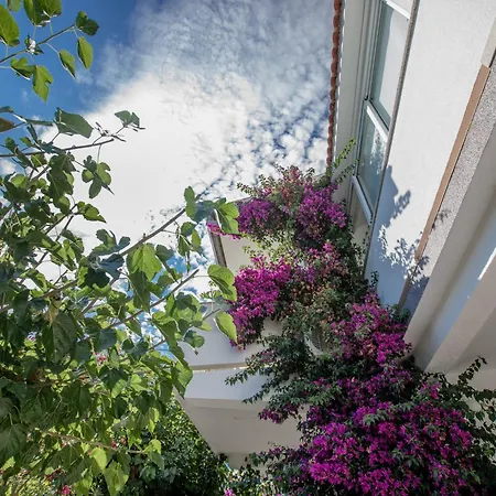 Apartament Rosa Supetarska Draga