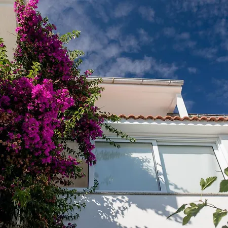 Apartament Rosa