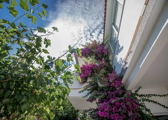 Apartmán Rosa Supetarska Draga