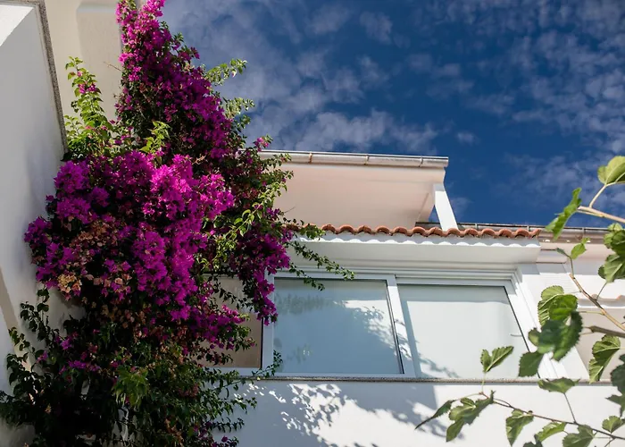 Apartmán Rosa